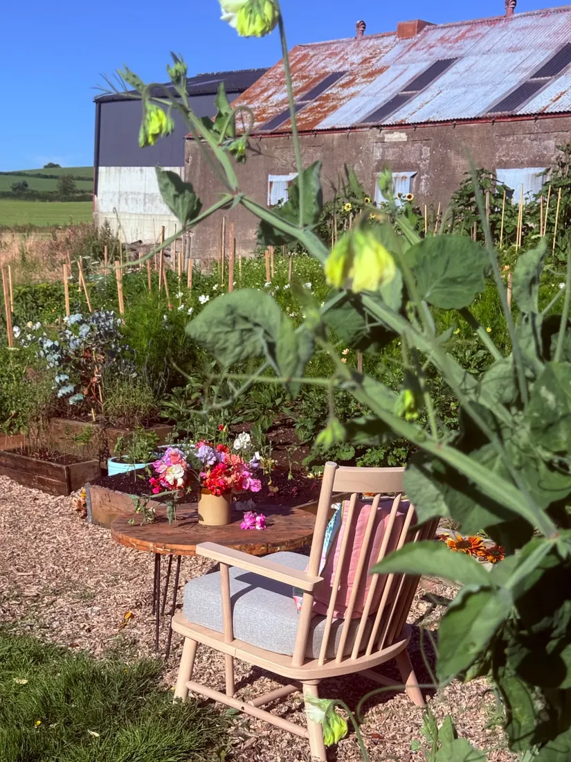 A chair and a crock of sweet peas in the flower garden