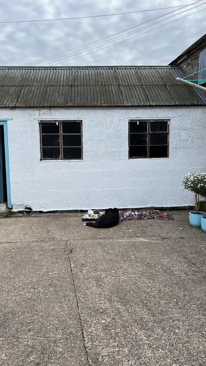 The front of the shed freshly painted white