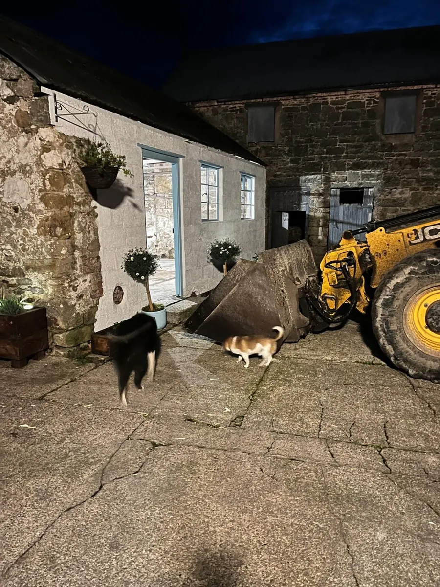 A digger clearing rubble in the yard at dusk, with the farm dogs watching