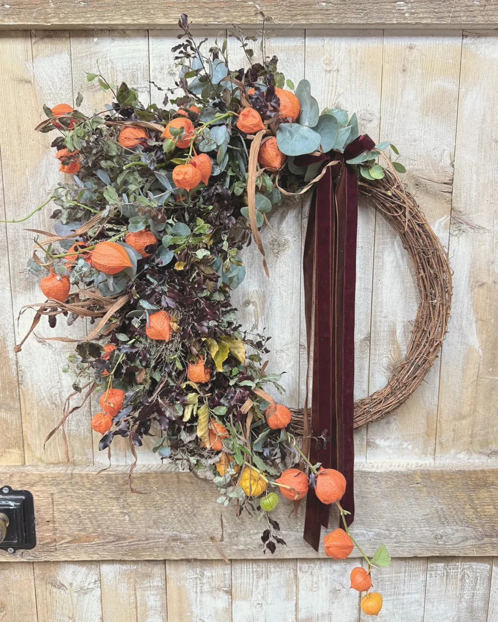 Autumn wreath of Chinese lanterns, eucalyptus and dark foliage on a willow ring with a burgundy velvet ribbon, on a weathered wooden door